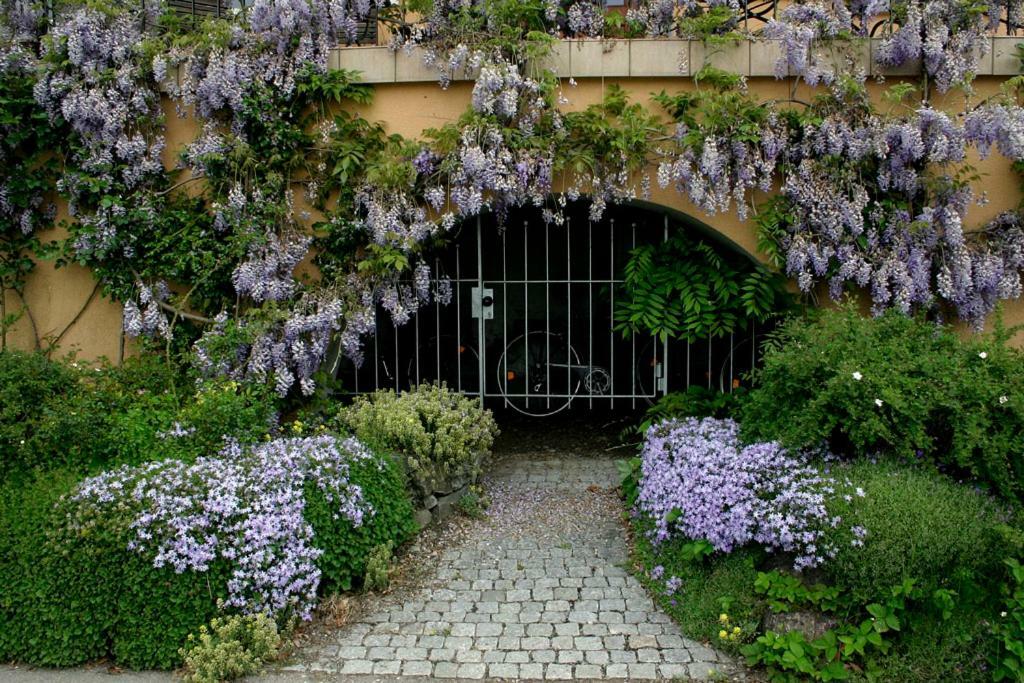 Villa Linke am Bodensee Nonnenhorn Eksteriør billede
