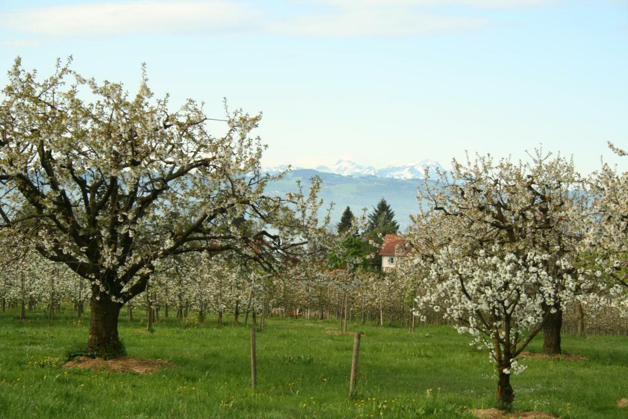Villa Linke am Bodensee Nonnenhorn Eksteriør billede